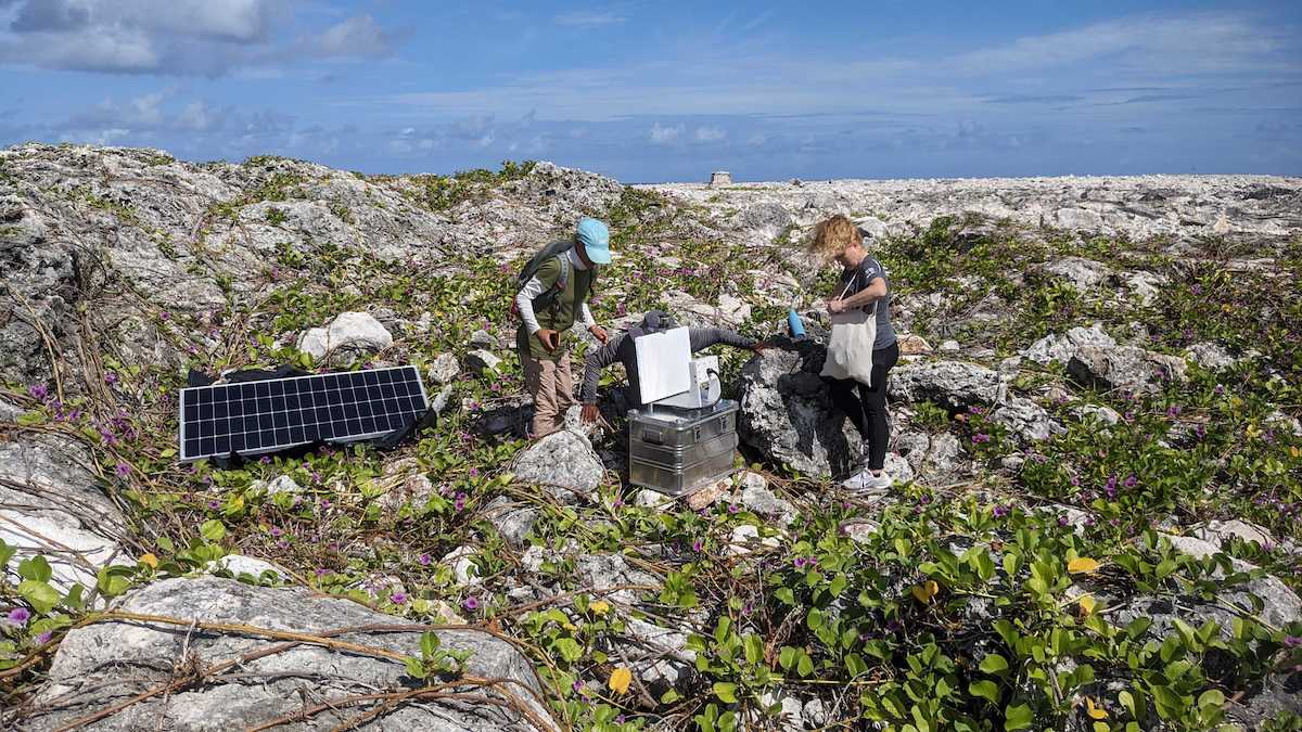 The UKCEH AMI System deployed at Anguilla.